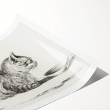 Famous Romantic Era Art: Brush Turkey - Historical Romantic Art Print