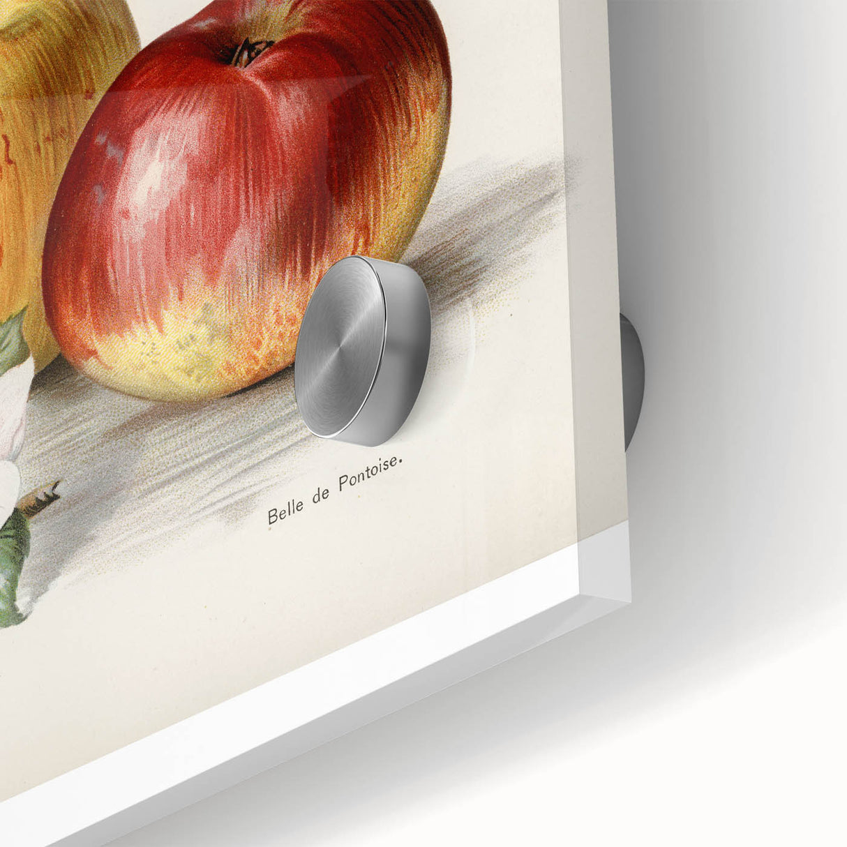 Large abstract wall art featuring assorted fruits in vibrant colors on acrylic glass, ideal for dining room art.