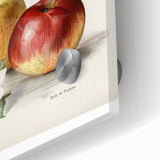 Large abstract wall art featuring assorted fruits in vibrant colors on acrylic glass, ideal for dining room art.