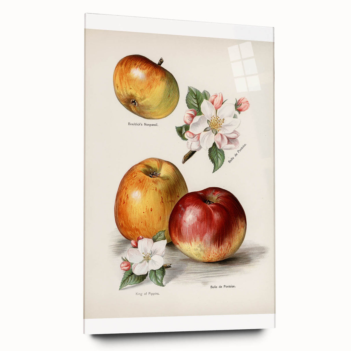 Large abstract wall art featuring assorted fruits in vibrant colors on acrylic glass, ideal for bedroom or dining room decor.