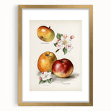 Extra large abstract art print featuring textured fruit designs in vibrant colors, framed in gold.