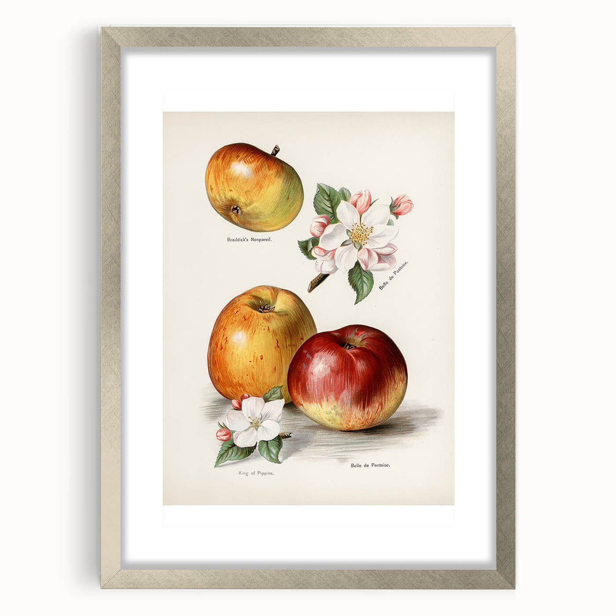 Textured art print of abstract fruits in muted orange and green tones, framed in silver, suitable for bedroom decor.