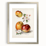 Textured art print of abstract fruits in muted orange and green tones, framed in silver, suitable for bedroom decor.