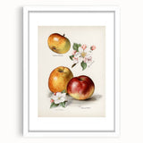 Abstract art print of assorted fruits in vibrant colors on a white framed mat, ideal for dining room decor.