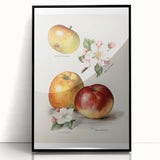 Large abstract wall art featuring assorted fruits in vibrant colors on a black acrylic framed print.
