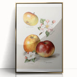 Mid-century modernist large art print featuring assorted fruits in bright colors on a gold framed acrylic.