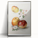 Mid-century modernist art featuring assorted fruits in vibrant colors on a silver-framed acrylic print.