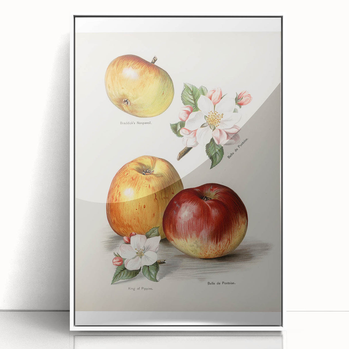 Acrylic print of colorful fruits in art deco style, framed in white, suitable for modern kitchen decor.