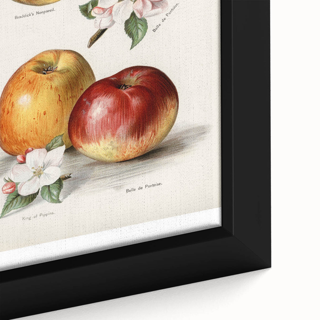 Close-up of extra large black wall art featuring colorful, textured fruits on framed canvas, ideal for living room decor.