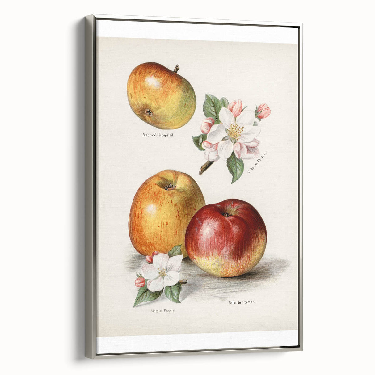 Landscape art painting of colorful fruits on a black background, framed in silver, ideal for kitchen wall decor.
