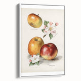 Vintage poster art of colorful fruits on a large framed canvas, ideal for living room decor.