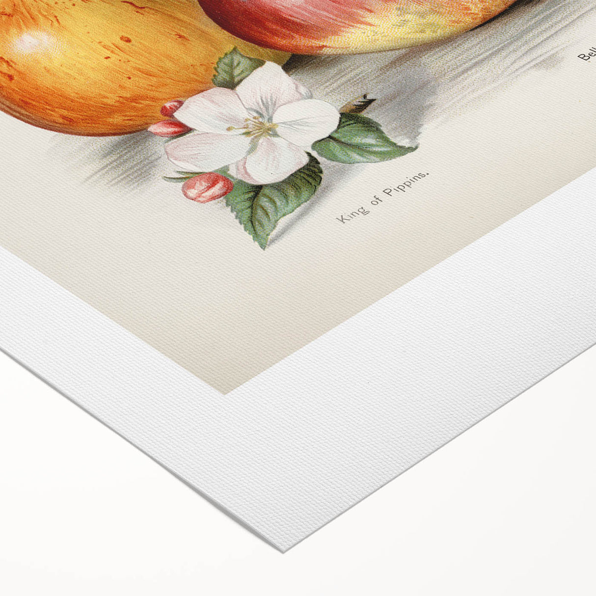 Art deco poster featuring assorted fruits in bold, colorful tones on a rolled canvas, ideal for dining room decor.