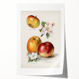 Extra large rolled print featuring an array of vibrant fruits on a white background, ideal for dining room wall art.