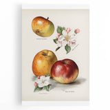 Black and white stretched canvas of assorted fruits, ideal for kitchen wall art.