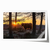 Rolled print showcasing a vibrant countryside landscape with rolling hills and a clear blue sky, packaged securely in a protective cardboard tube for easy transport.