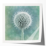 Extra large floral art on glossy photo print, featuring vivid pink and white flowers.