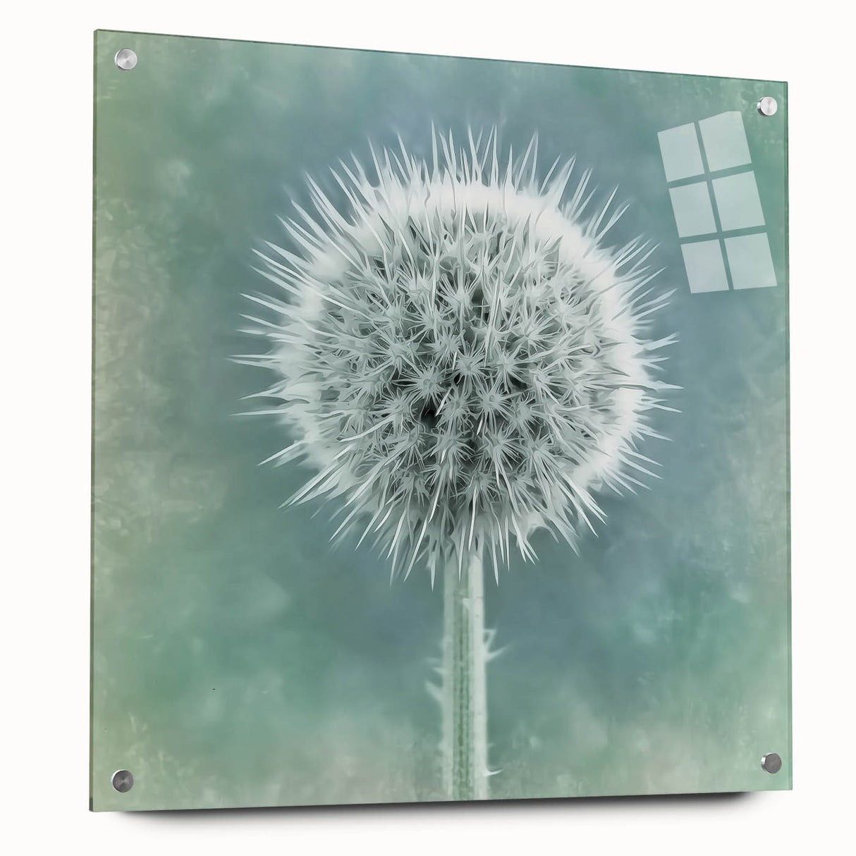 Acrylic glass print of large abstract floral design in vibrant colors, ideal for bedroom or dining room decor.