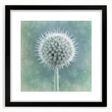 Extra large abstract art print featuring vibrant, colorful floral textures on a black framed canvas.