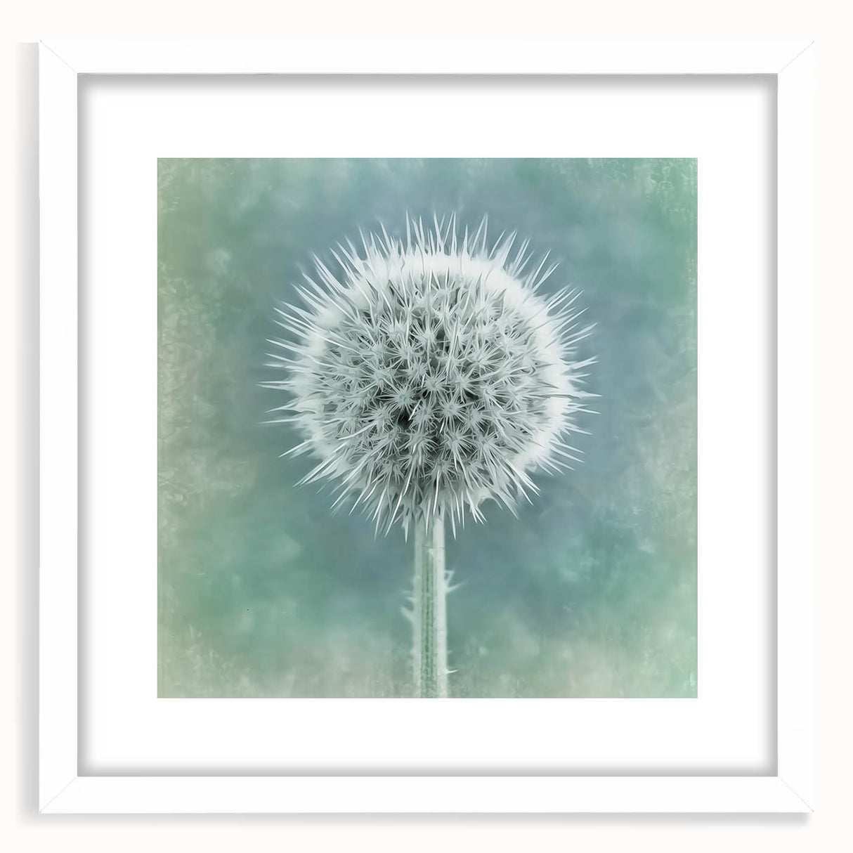 Abstract art print featuring close-up floral designs in soft pastel shades on a white framed mat.
