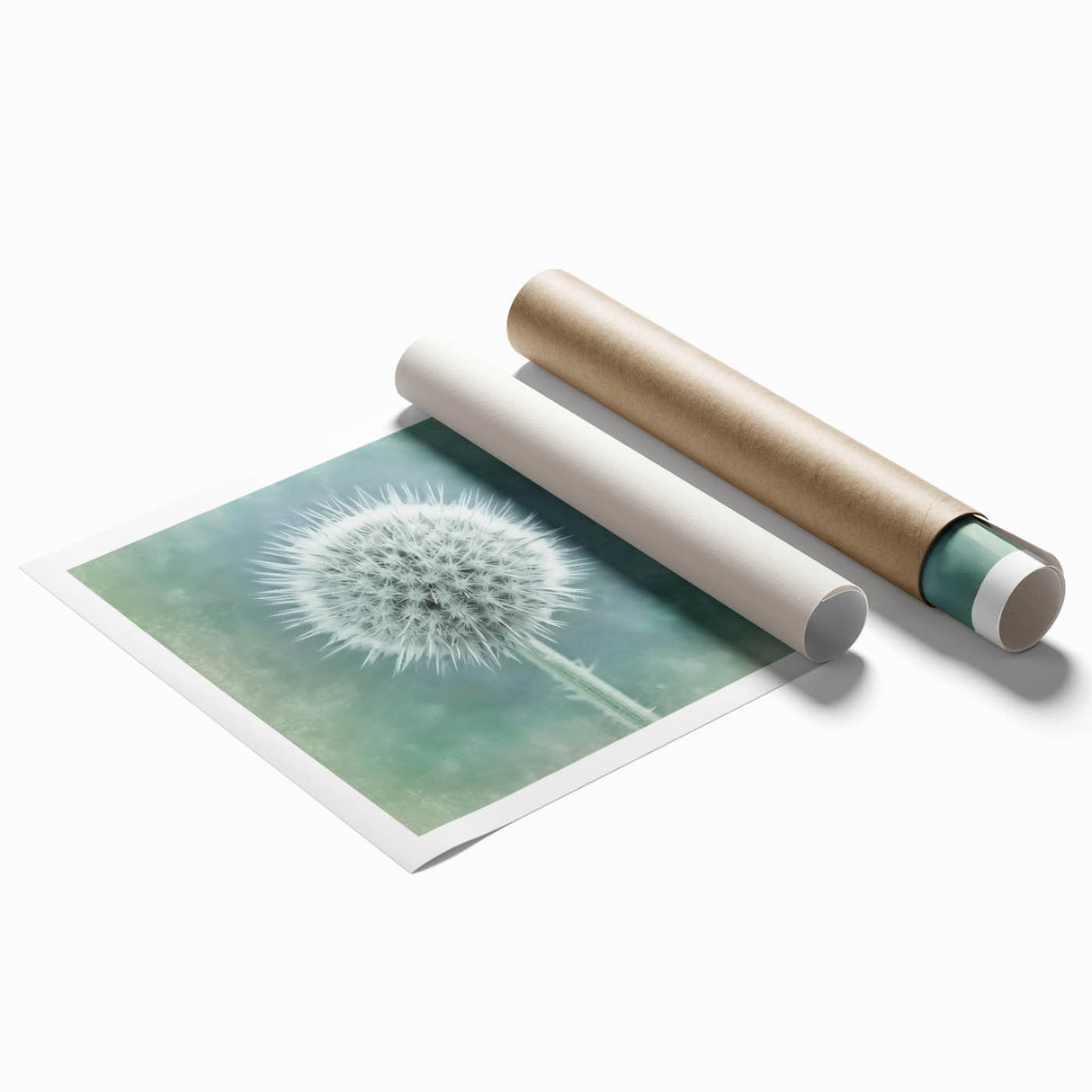 Close-up floral art on a rolled print featuring soft pink and white blooms, suitable for large bathroom or living room walls.