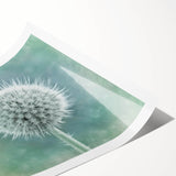 Extra large wall art featuring line art flowers in black and white on a rolled print, ideal for large living room wall decor.