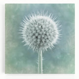 Black and white close-up floral image on large stretched canvas, ideal for kitchen wall art.