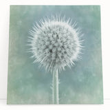 Black and white close-up floral photograph on stretched canvas, ideal for kitchen wall art or bedroom ambiance.