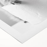 Cute Squirrel Bathroom Wall Art - Fun Black and White Bathroom Decor