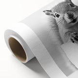 Cute Squirrel Bathroom Wall Art - Fun Black and White Bathroom Decor