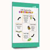 Kids Educational Wall Art - Life Cycle of a Butterfly Poster