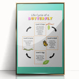 Kids Educational Wall Art - Life Cycle of a Butterfly Poster