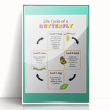 Kids Educational Wall Art - Life Cycle of a Butterfly Poster