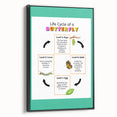 Kids Educational Wall Art - Life Cycle of a Butterfly Poster