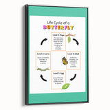 Kids Educational Wall Art - Life Cycle of a Butterfly Poster