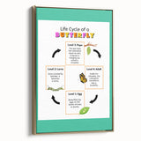 Kids Educational Wall Art - Life Cycle of a Butterfly Poster