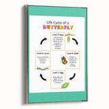 Kids Educational Wall Art - Life Cycle of a Butterfly Poster
