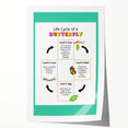 Kids Educational Wall Art - Life Cycle of a Butterfly Poster