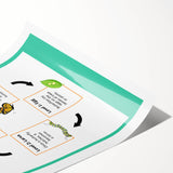 Kids Educational Wall Art - Life Cycle of a Butterfly Poster