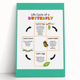 Kids Educational Wall Art - Life Cycle of a Butterfly Poster