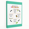 Kids Educational Wall Art - Life Cycle of a Butterfly Poster
