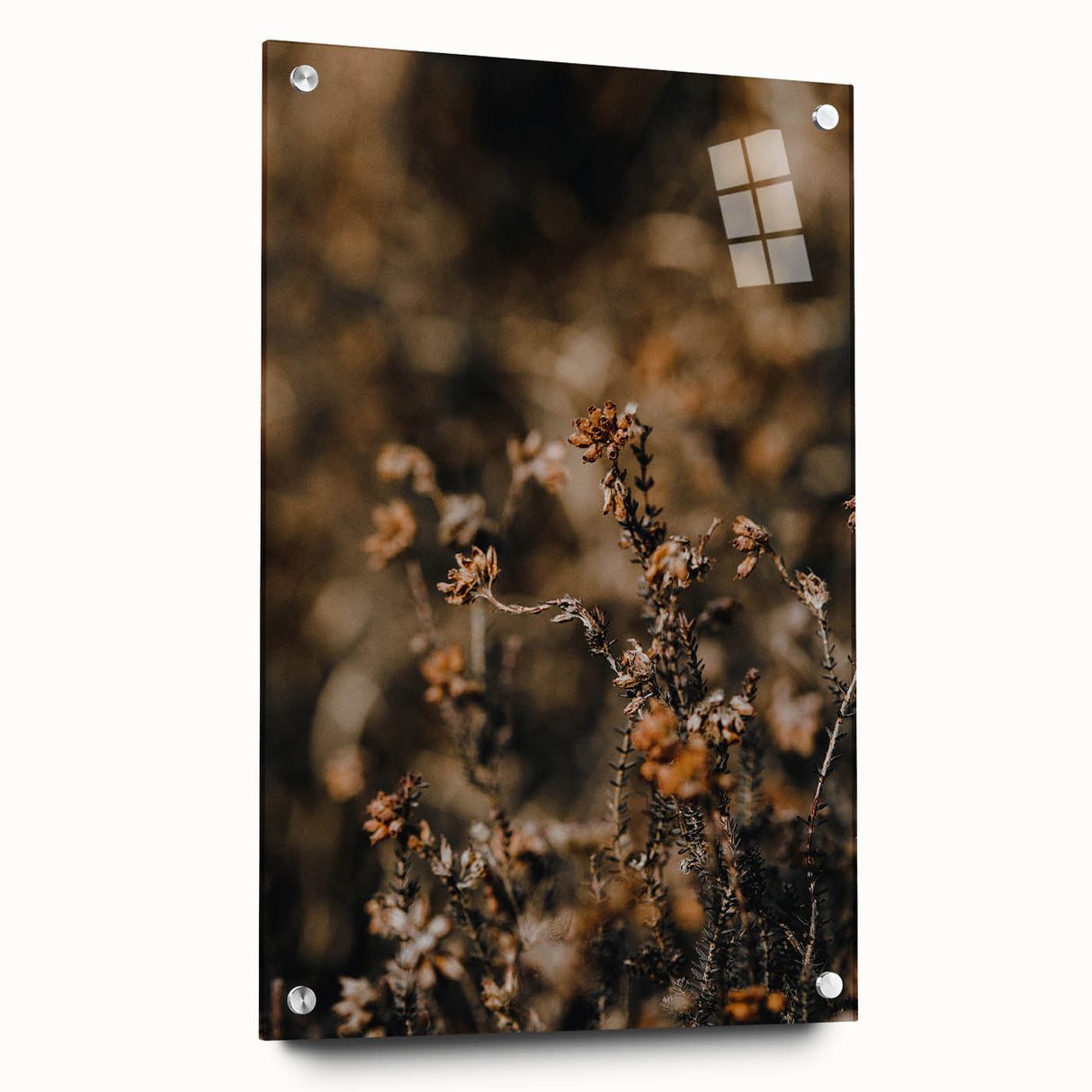 Large abstract wall art depicting autumn trees in warm orange and red tones, printed on acrylic glass.