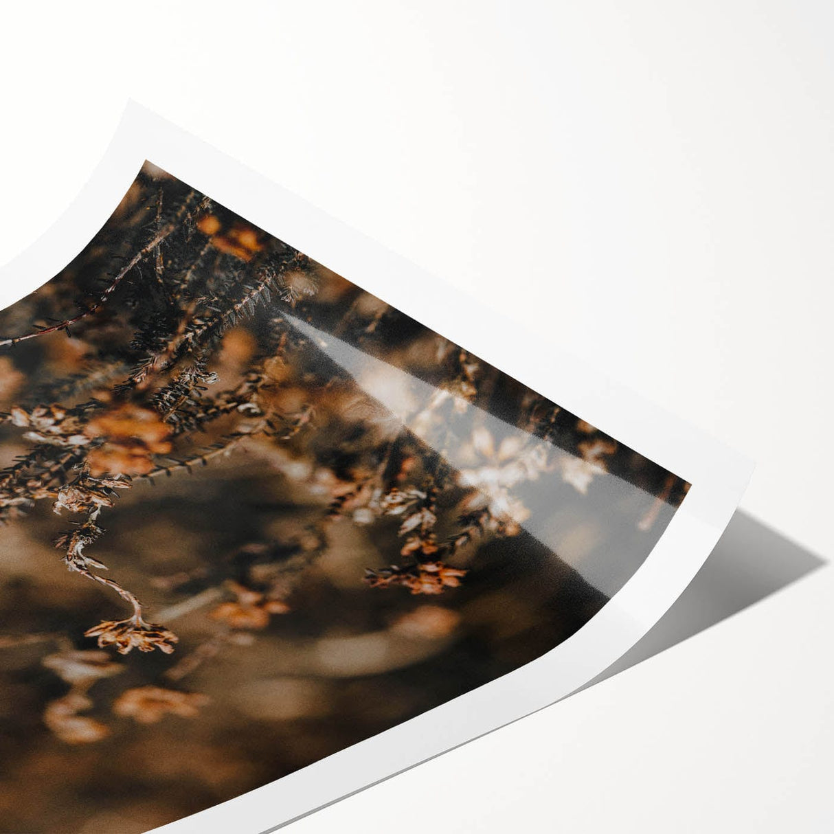 Extra large rolled print featuring line art flowers in muted autumn tones, ideal for large living room wall decor.