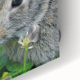 Large abstract wall art in pastel shades on acrylic glass, depicting spring themes, ideal for dining room art.