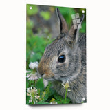 Large abstract wall art on acrylic glass depicting spring themes in vibrant green and pink tones.