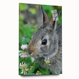 Large abstract wall art on acrylic glass depicting vibrant spring colors, ideal for bedroom or dining room decor.