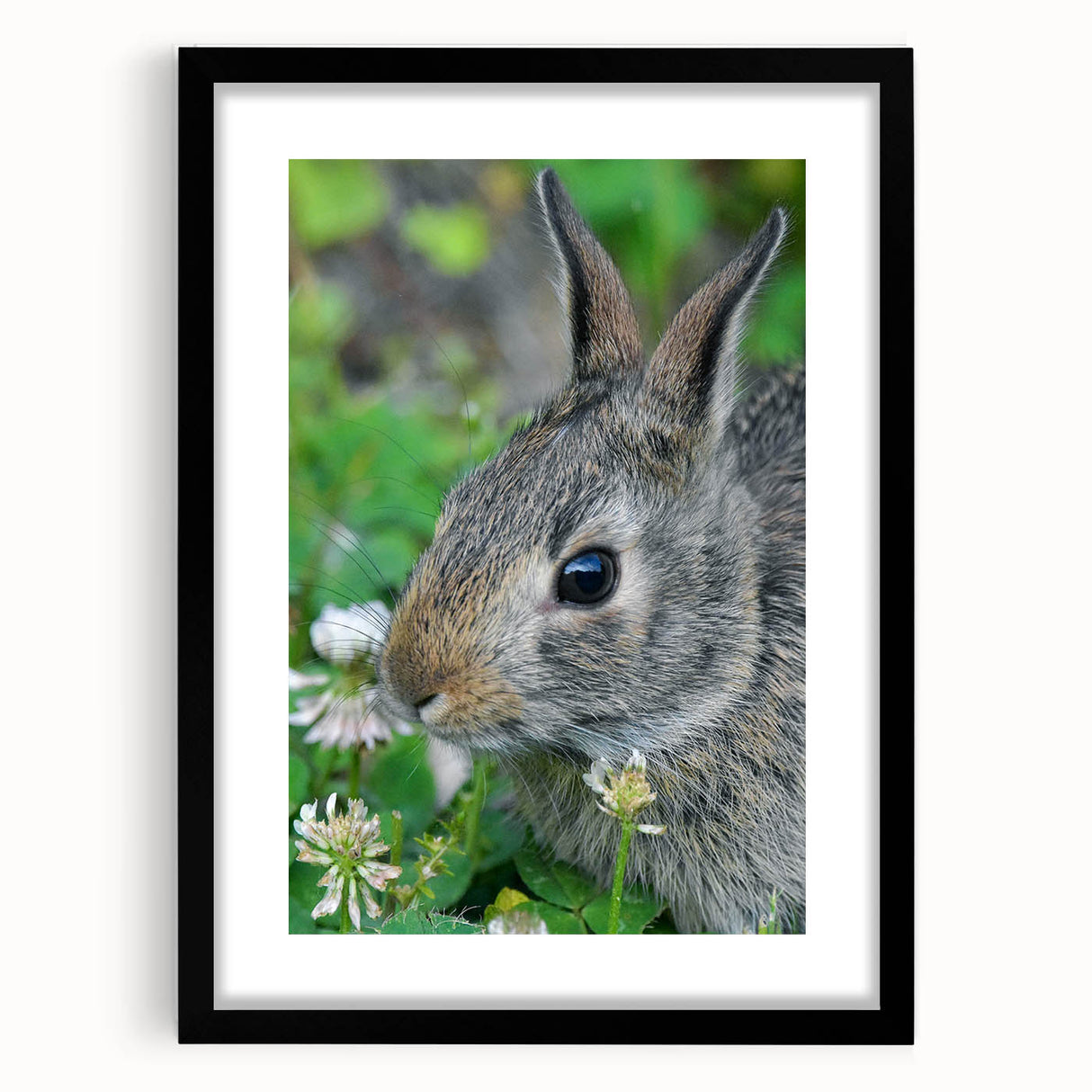 Extra large abstract art print featuring colorful, textured brush strokes on a black framed canvas.
