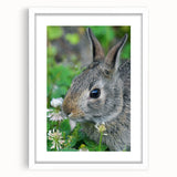 Abstract art print featuring swirling pastel shades on a white framed canvas, suitable for dining room or bedroom decor.