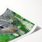 Extra large wall art featuring line art flowers in pastel shades on rolled print, ideal for large living room decor.