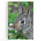 Large black and white abstract floral print on stretched canvas, ideal for kitchen wall art.