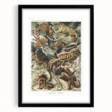 Lacertilia Modern Wall Art – Intricate Natural History Decor